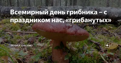 В России предложили учредить День грибника | Своё ТВ