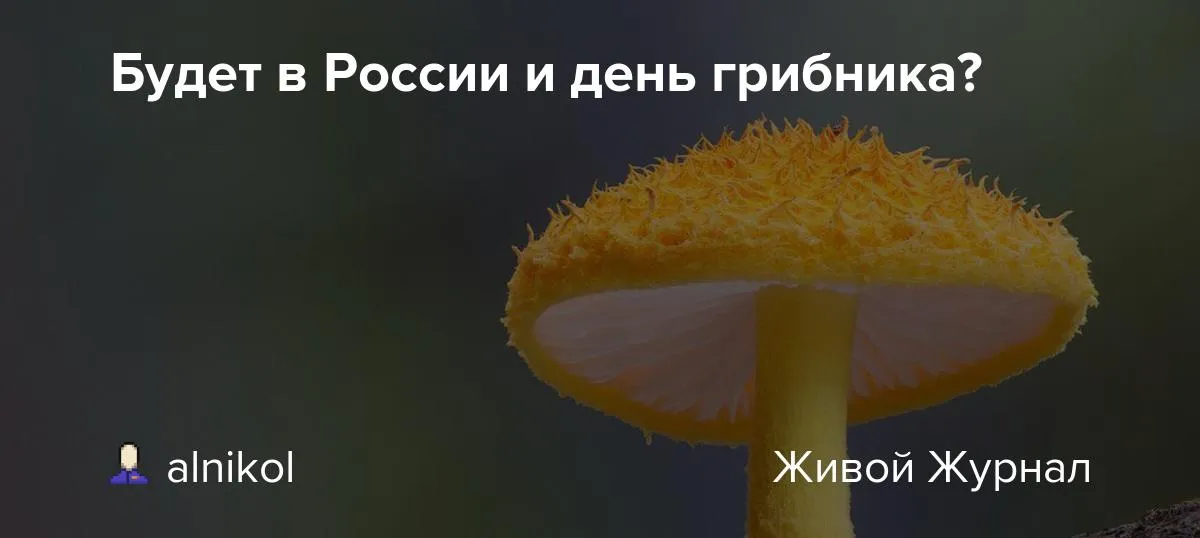 День Грибника 3 Октября Картинки Поздравления