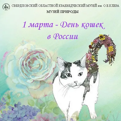 1 марта - День кошек | Владимирская областная научная библиотека