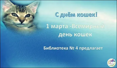 CATS-открытки :: Виртуальные открытки с кошками и котятами :: 1 Марта - День  кошек