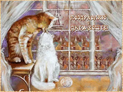 всемирный день кошек, кошачий праздник