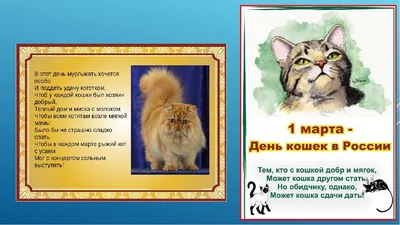 1 марта – День кошек в России — ГБУ ЦРИ «Бутово»
