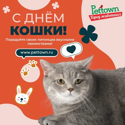 Домик вышивающей кошки: Международный день кошек в первый день весны - а вы  поздравили своих питомцев? )))