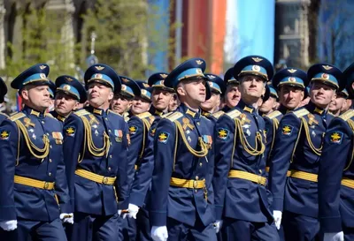 21 августа – День офицера России | Следственный комитет Российской  Федерации | Дзен