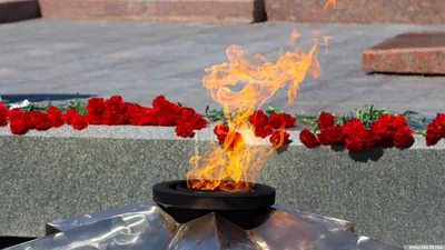Жители австралийского Перта в День Победы возложили цветы к Вечному огню |  ИА Красная Весна