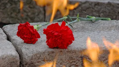 В Мариуполе в День Победы снова зажгли Вечный огонь | ИА Красная Весна