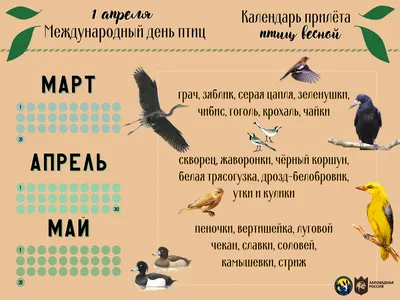 Международный день птиц - РИА Новости, 01.04.2021