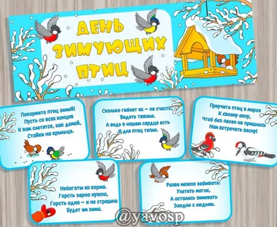 Пензенцев приглашают на Международный день птиц — Общество — Пенза СМИ