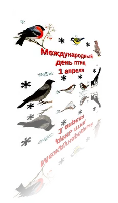 Международный день птиц » Коми-Пермяцкий краеведческий музей им. П.И.  Субботина-Пермяка