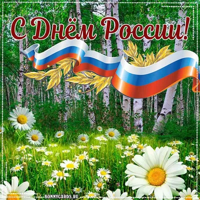 Примите искренние поздравления с Днем России!