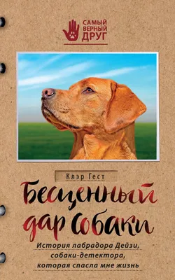 Всемирный день собак открытка - 71 фото