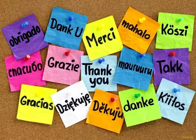 Маревен Фуд Тянь-Шань on Instagram: \"Сегодня, 11 января во всем мире  отмечается Международный день \"Спасибо\"! Хотим сказать вам \"Спасибо\"  друзья, за вашу активность и реакции, за выбор в пользу нашей продукции. А