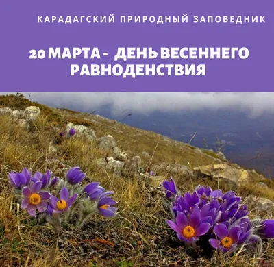 Петровская сельская библиотека - День весеннего равноденствия 222 Дата в  2021 году: 20 марта Другие названия: Астрономическое начало весны, Сороки  Значение: Солнце пересекает небесный экватор Традиции: Проводы зимы;  сжигание чучела Зимы; выпечка