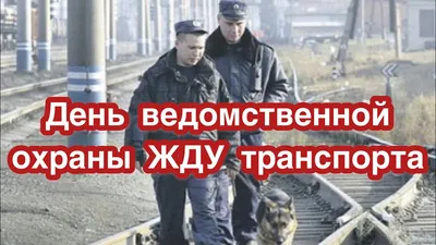 Брянские сотрудники Росгвардии отмечают День вневедомственной охраны |  Брянские новости