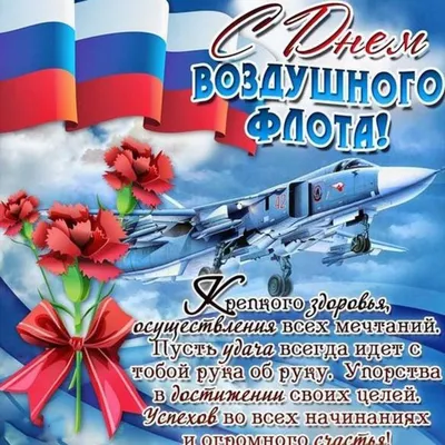 20 августа в России отмечается День Воздушного флота : Новости Димитровграда
