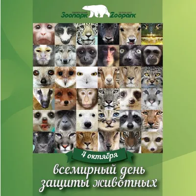 4 октября - Всемирный день защиты животных. Эколого-просветительские  мероприятия Минприроды в Москве