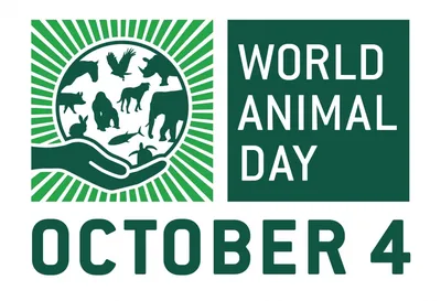 4 октября отмечается Всемирный день защиты животных