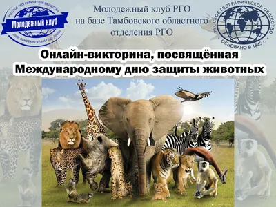 День защиты животных, ГБОУ Школа № 1579, Москва