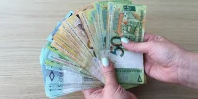Россияне оценили идею получать деньги просто так: Социальная сфера:  Экономика: Lenta.ru