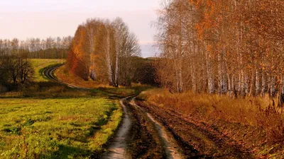 Книга Наша Родина - Россия. лучшая Энциклопедия В картинках для Малышей -  купить детской энциклопедии в интернет-магазинах, цены на Мегамаркет | 24642