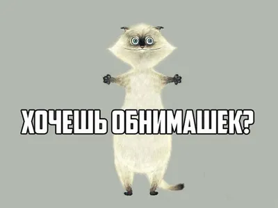 Пин от пользователя 🦋ОльХен🦋 на доске Люблю💞 | Смешные карикатуры,  Картинки смех, Милые открытки