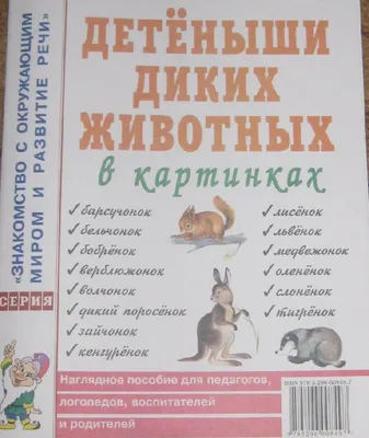 Мастер-класс по аппликации «Дикие животные и их детеныши. Медвежонок» для  детей с ОВЗ 4–5 лет (10 фото). Воспитателям детских садов, школьным  учителям и педагогам - Маам.ру