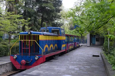 Детская железная дорога в Раменском откроется 26 мая — Комплекс  градостроительной политики и строительства города Москвы