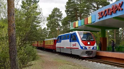 Модернизацию детской железной дороги в Ростове завершат в этом году |  ROSTOF.RU