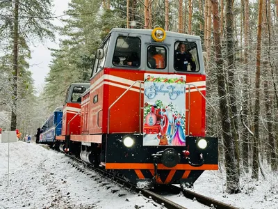 Ярославская детская железная дорога 2024: история, описание, цена билета,  режим работы, расписание поездов