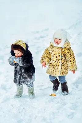 Детская зимняя фотосъемка с щенками и собаками Хаски в плетёных санках.  Зимняя фотография.