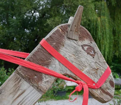 Kawaii принцесса карета лошадь катание на лыжах автомобиль детские игрушки  Миниатюрный Кукольный дом мебель аксессуары лошадь девочка для игры Барби |  AliExpress
