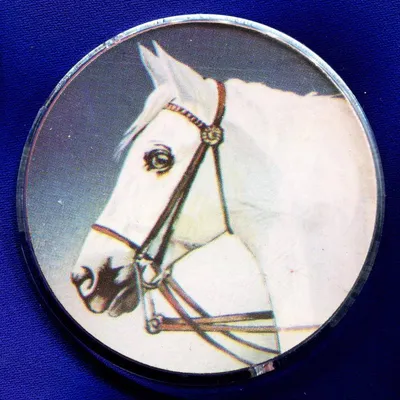 Детский лонгслив Лошадь с жеребенком — купить по цене 1590 руб в  интернет-магазине #1728711