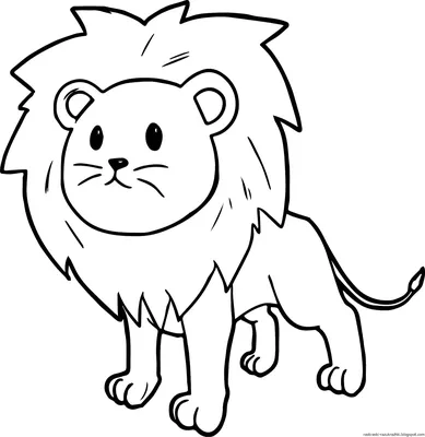 животные. Милый лев улыбается за то, что печатал на детских открытках  детский душ Иллюстрация вектора - иллюстрации насчитывающей браслетов,  шарж: 254348723