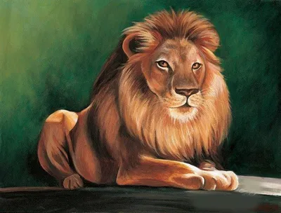 Детская рисунок льва Stock Illustration | Adobe Stock