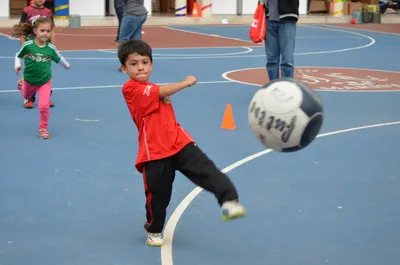 Игра Го: что мы знаем о новом виде спорта в программе Игр «Дети Азии-2024»  — Улус Медиа