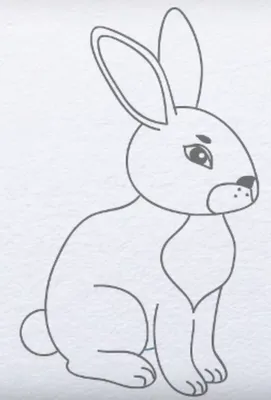 Детский рисунок зайчик (25 фото) » Рисунки для срисовки и не только