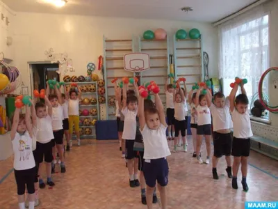 Гимнастика для детей на пр. Каролинский 1 (Универсально-спортивный  комплекс) – секции и занятия ⏩ Крепыш