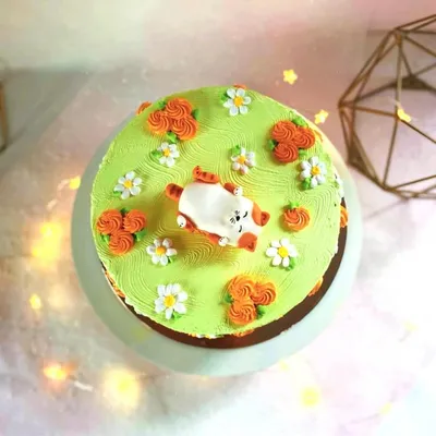 Тематический торт для девочки. Вес 2.5кг Декор из шоколада, сахарной  картинки и молекулярного бисквита. #тематическийтортанапа… | Instagram