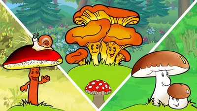 ГРИБЫ для детей | Изучаем грибы - YouTube