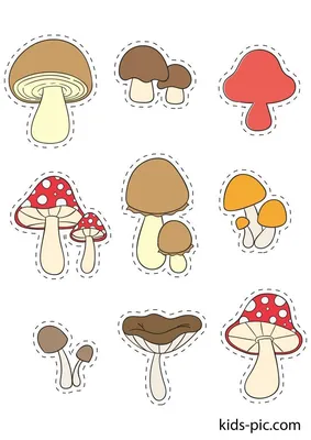 шаблоны грибов разных размеров для вырезания из бумаги | Грибы, Детские  осенние поделки, Шаблоны