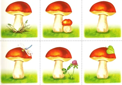 Картинки грибов для детей - 60 фото