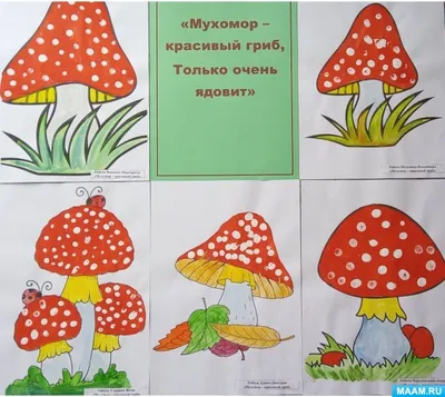 Конспект занятия «Мухомор — красивый гриб, только очень ядовит» (11 фото).  Воспитателям детских садов, школьным учителям и педагогам - Маам.ру