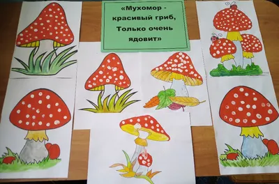 Нетрадиционная техника рисования конспект занятия в группе дошкольников на  тему «Мухомор - красивый гриб, только очень ядовит» 🍄