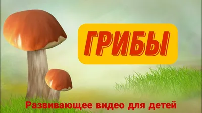 ГРИБЫ для детей. Лексическая тема \"ГРИБЫ\".🍄 ИЗУЧАЕМ ГРИБЫ. Развивающее  видео - YouTube