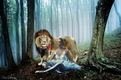красивая девушка со львом, лев, девочка, лес фон картинки и Фото для  бесплатной загрузки