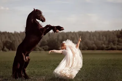 девушка, фотосессия с лошадьми, лошадь и девушка, лошади черные, лошадь,  Свадебное агентство Москва