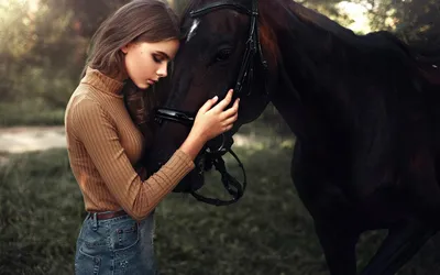 Девушка гладит лошадь Стоковые фотографии, картинки, все без лицензионных  отчислений - Envato Elements
