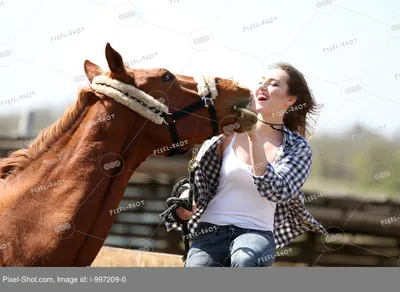 Картинки девушка, лошадь, прогулка - обои 1280x1024, картинка №258505