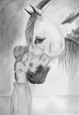 Картинки девушка, лошадь, друзья, портрет , профи, фото - обои 1280x800,  картинка №207507