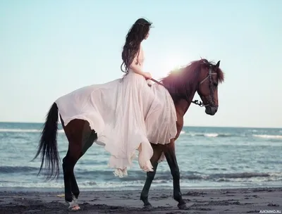 лошадь и девушка в солнце девушка Стоковое Изображение - изображение  насчитывающей бежать, бело: 137698165
